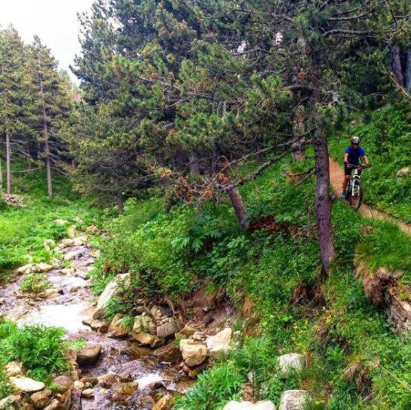 La Pradella Bolquere Pyrenees 2000 아파트 외부 사진