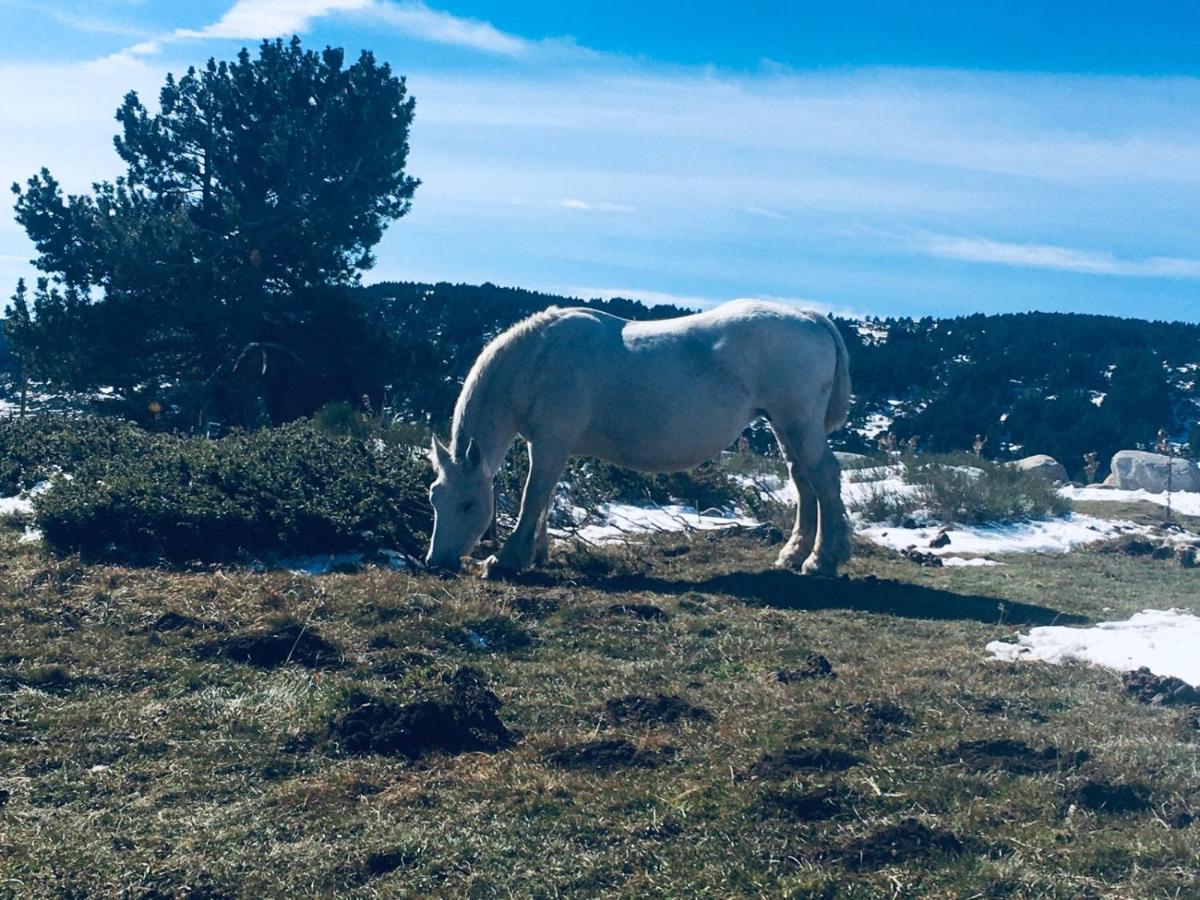 La Pradella Bolquere Pyrenees 2000 아파트 외부 사진