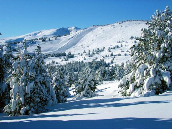 La Pradella Bolquere Pyrenees 2000 아파트 외부 사진